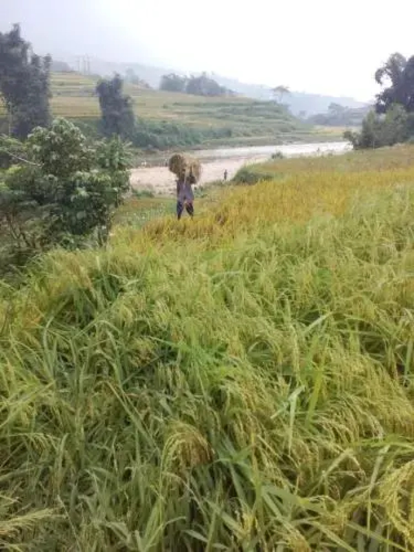 Hoàng Ngần Homestay