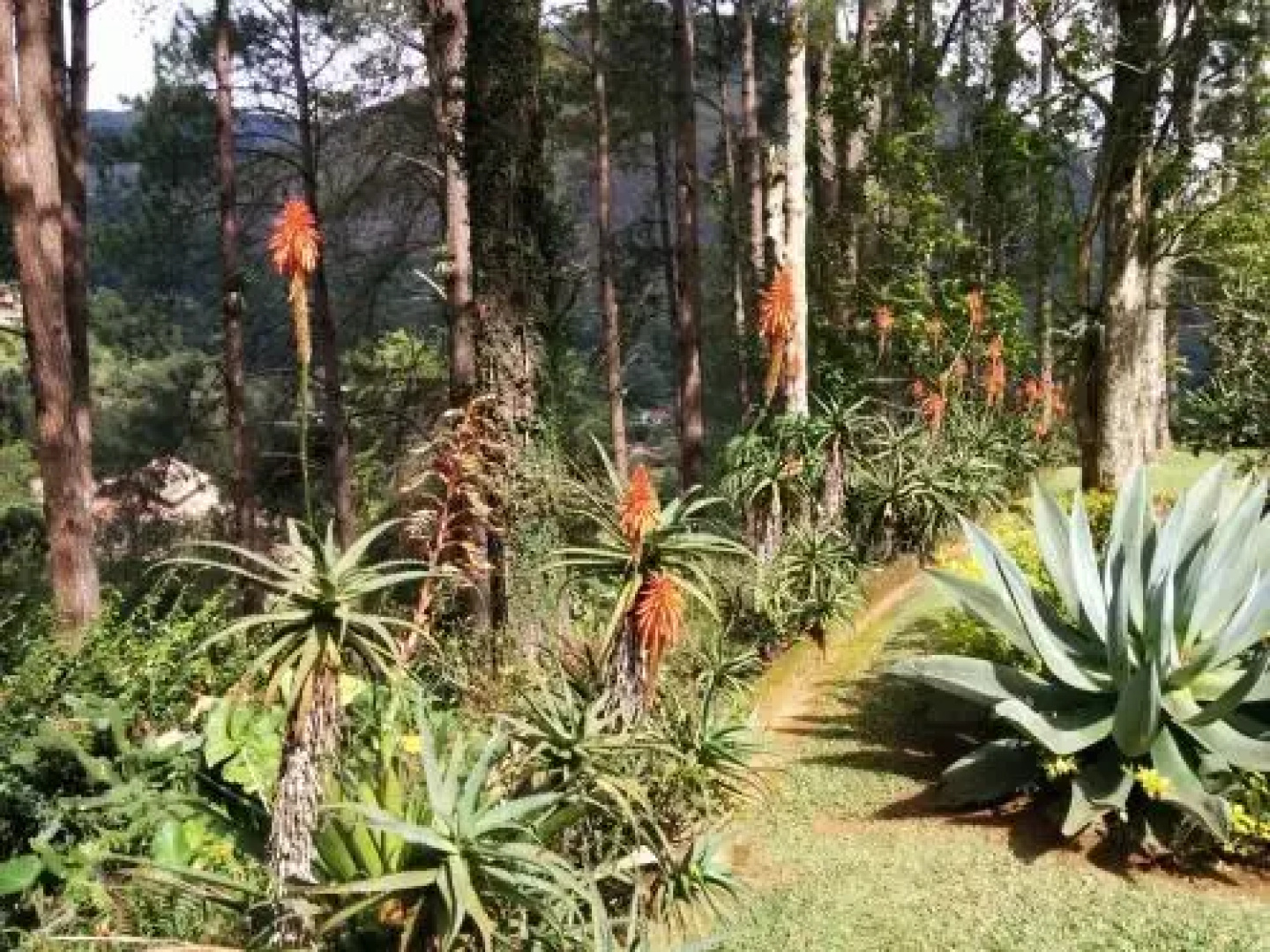 Chalé da Pedra