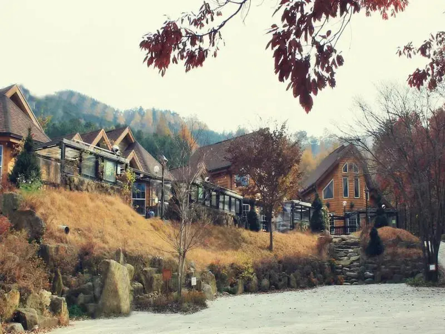 Goodstay Neverland Pension