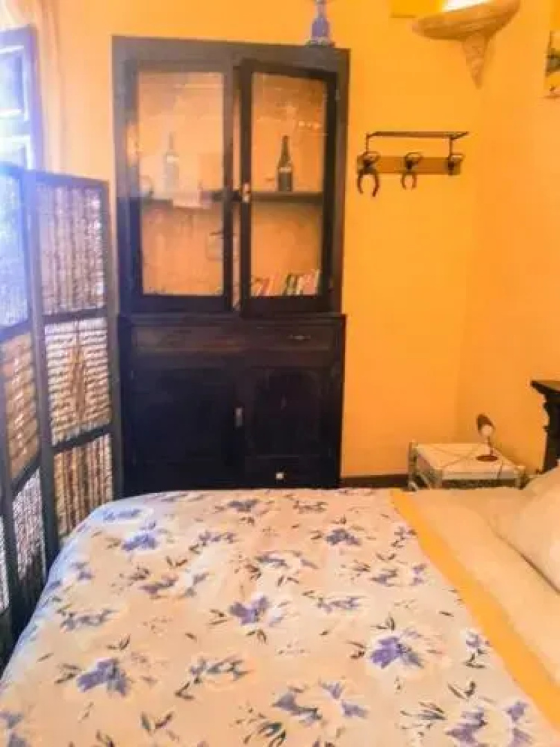 B&B Arakne