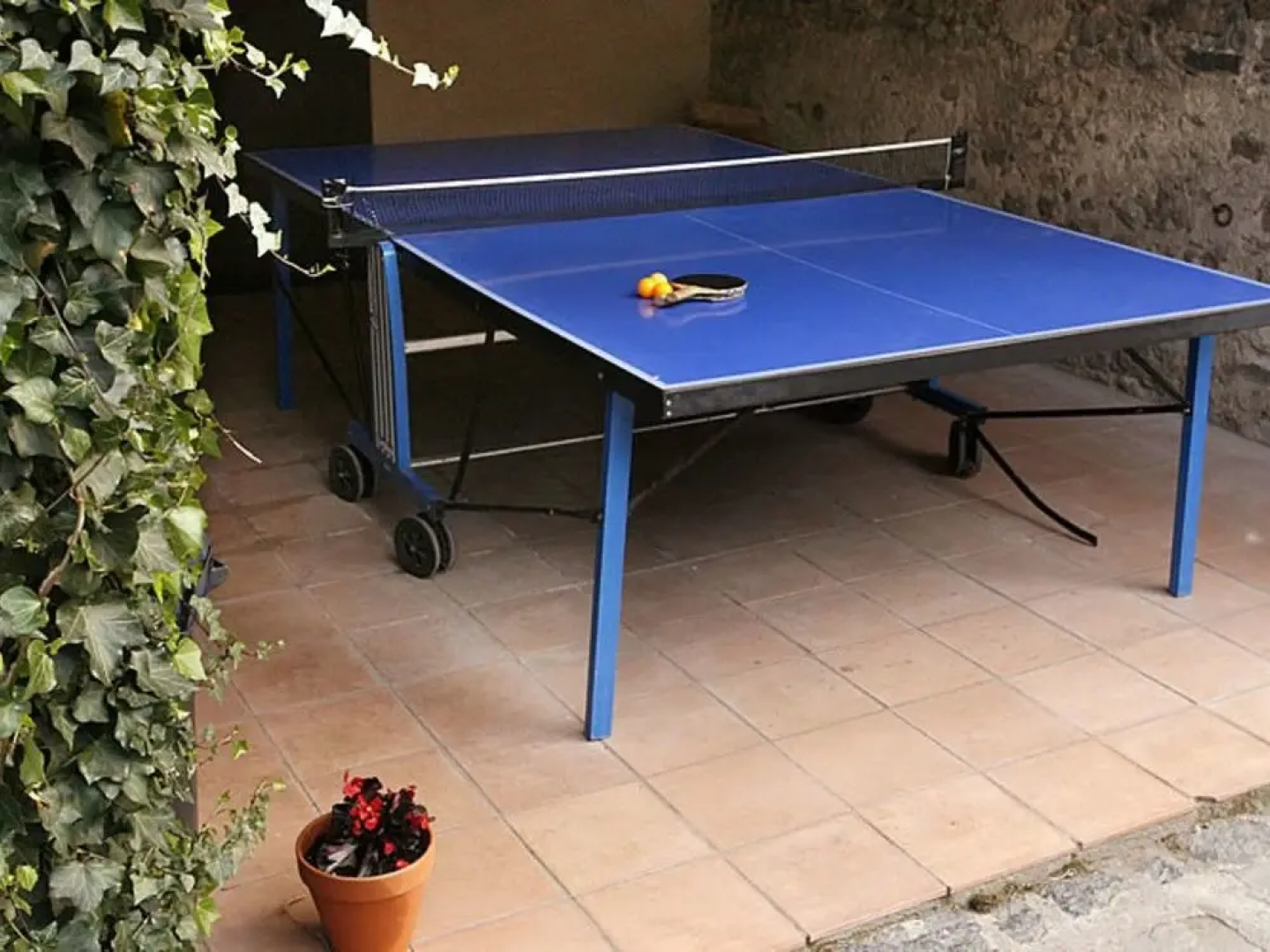Mas Violella allotjament rural