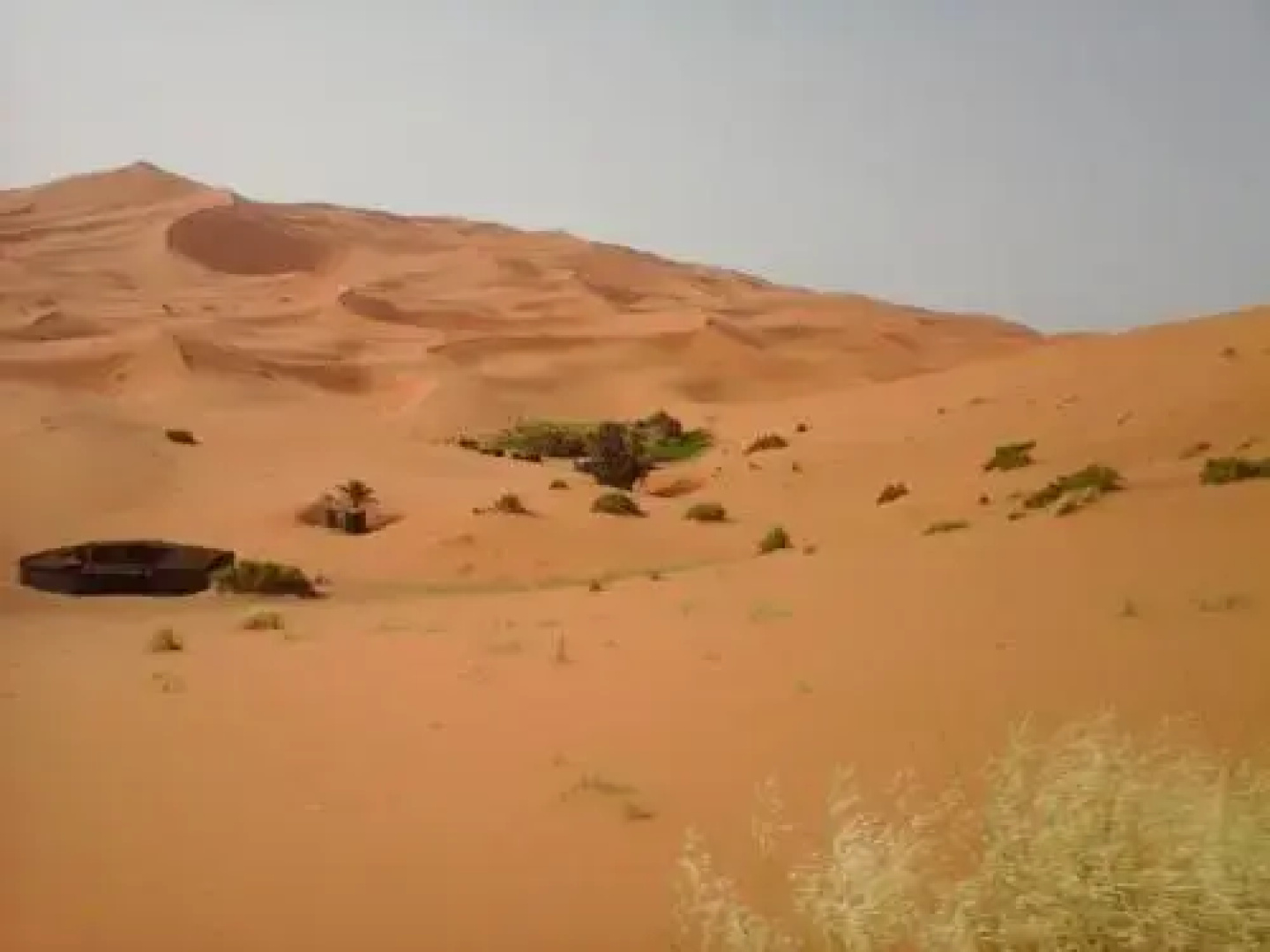 Secret Du Sahara