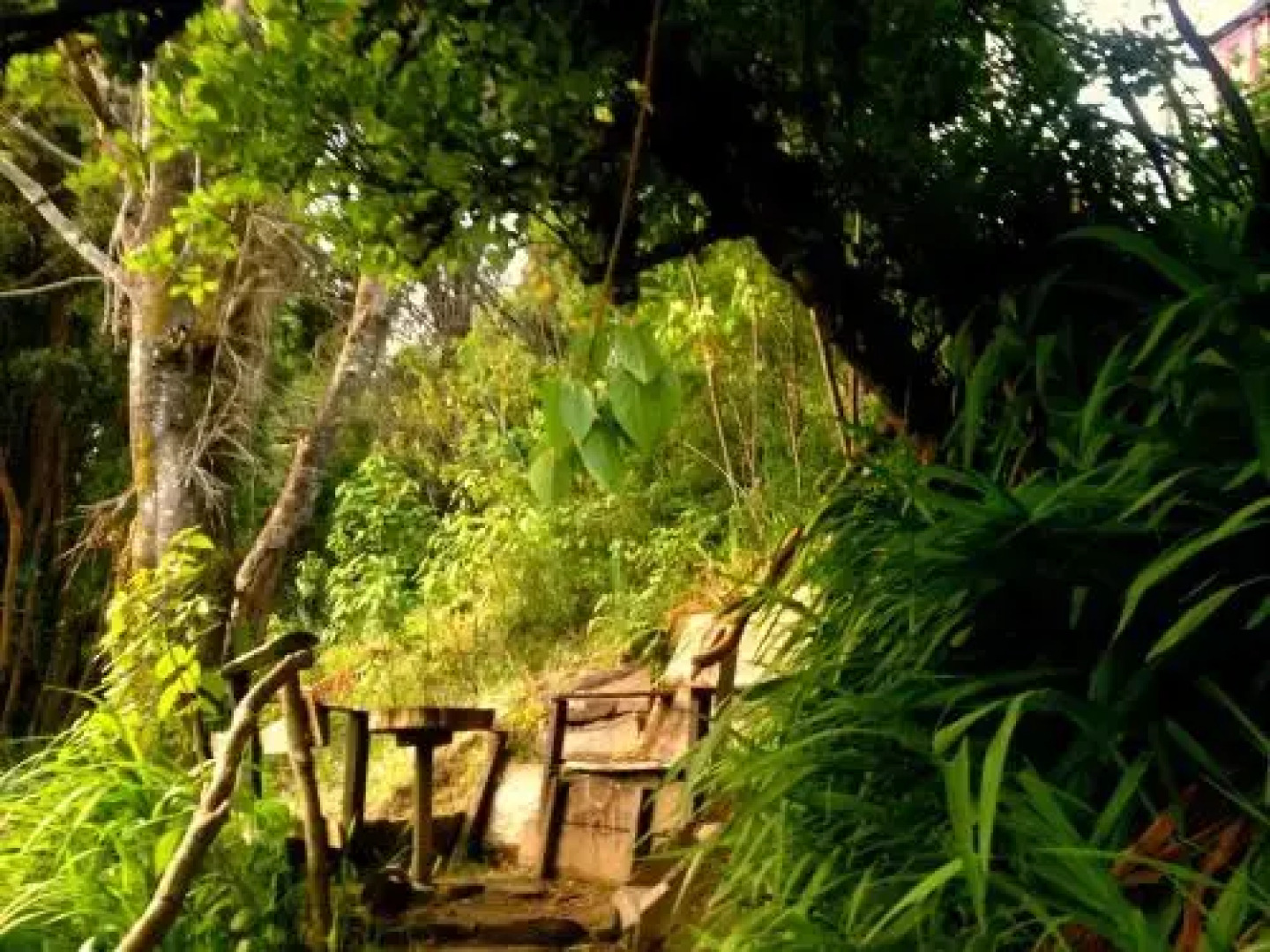 Hostel+Arte Capanegra