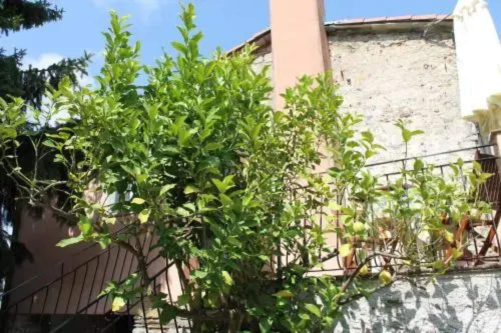 Terrazza sul Golfo