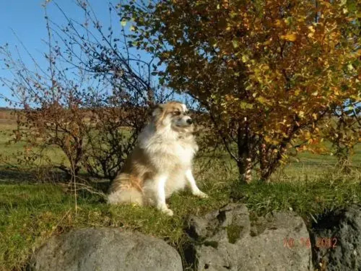 Jaðar Holiday House