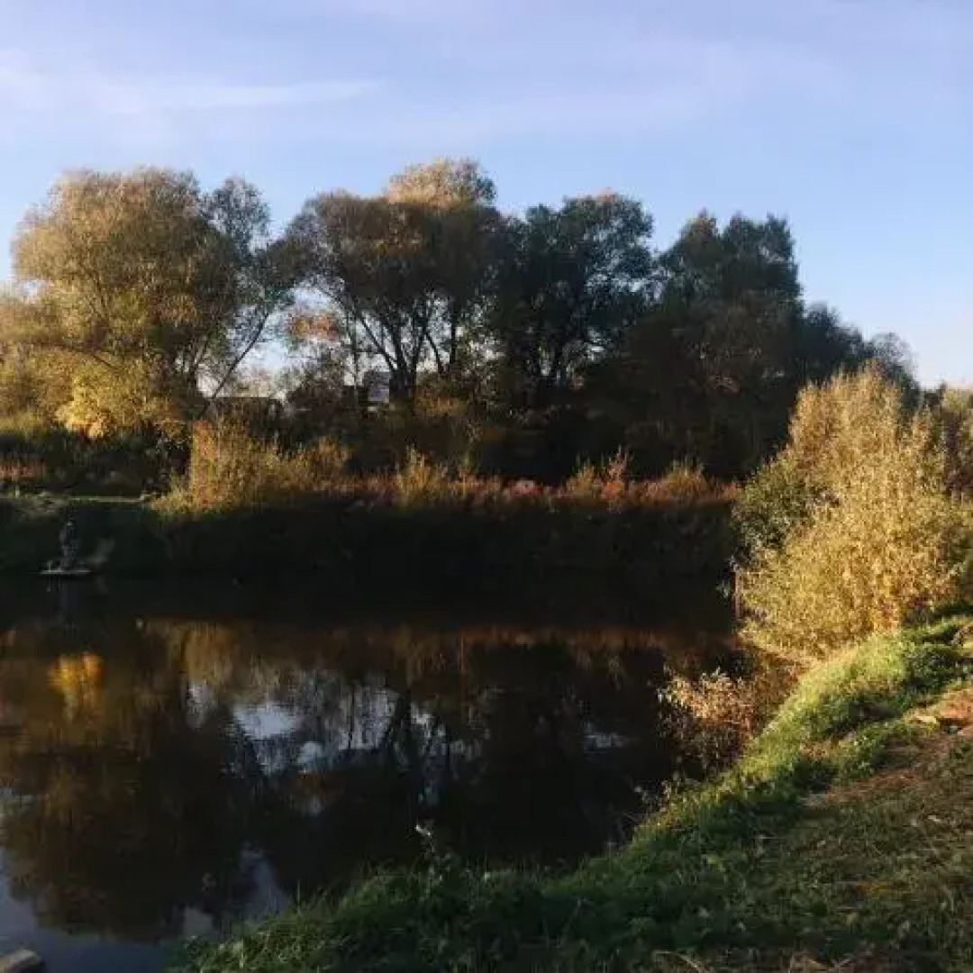 Snegiry Holiday Home