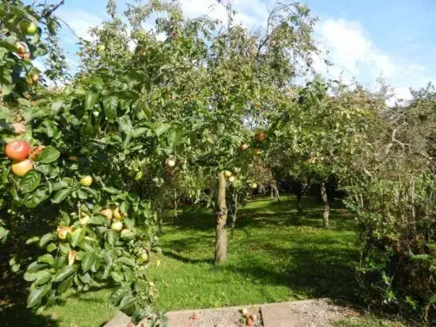 Yew Tree Cottage vacation home