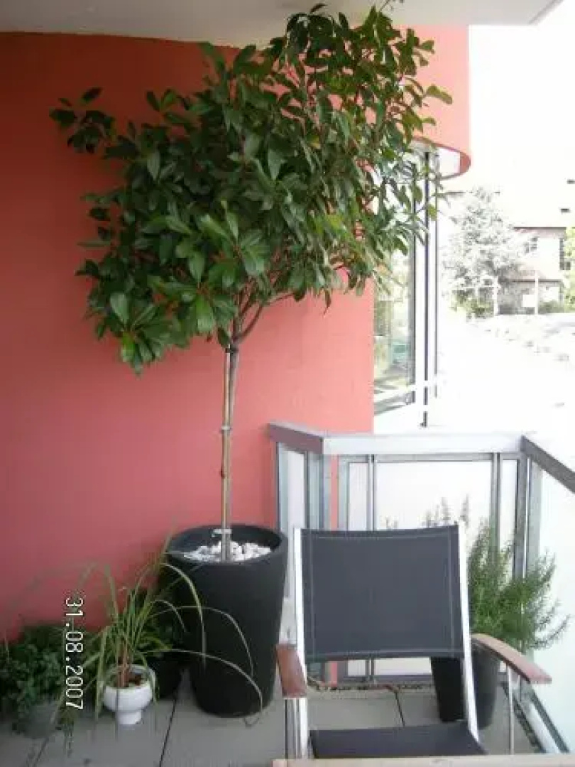 Appartement am Salamanderpark