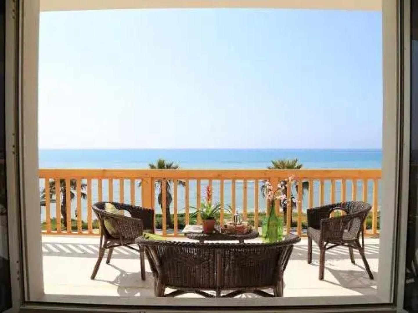 Terra Del Sole Seccagrande