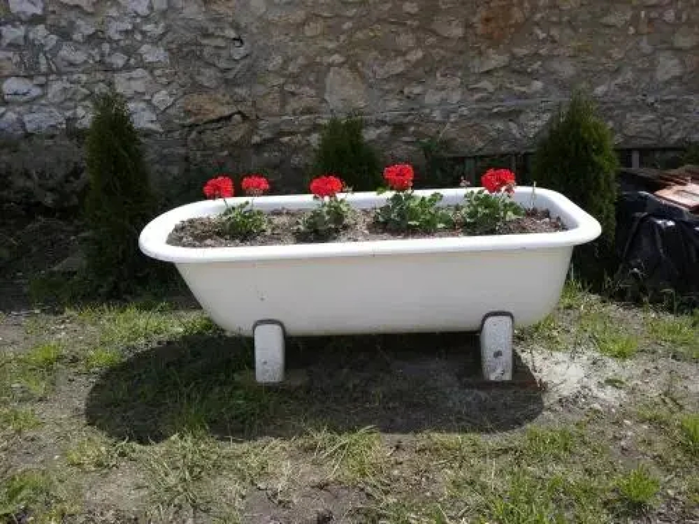 Bakonyi Kiscsillag