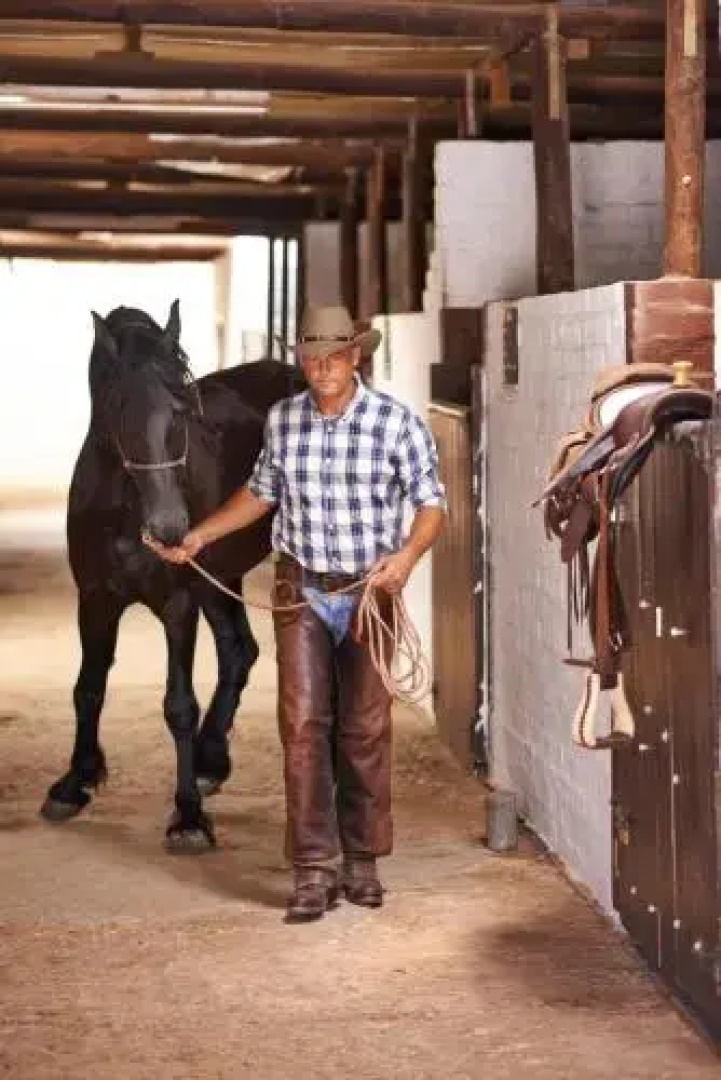 Cape Winelands Riding