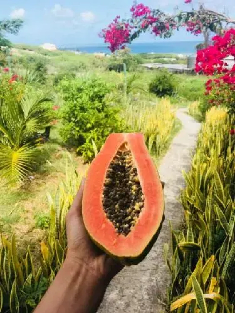 Hebergement Vue Sur Mer