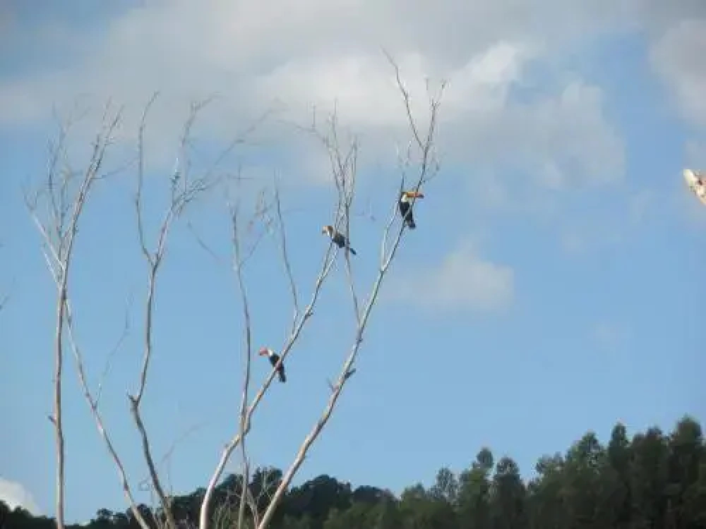 Pousada e Mini Fazenda Vila Davero
