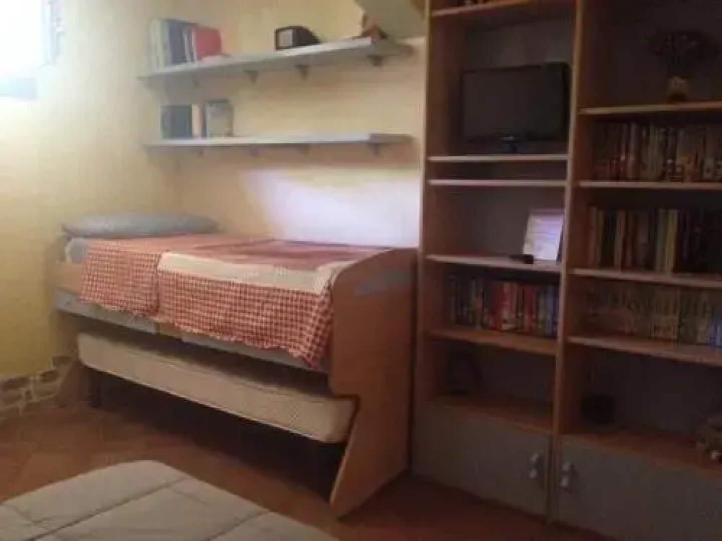 B&B Chorisia