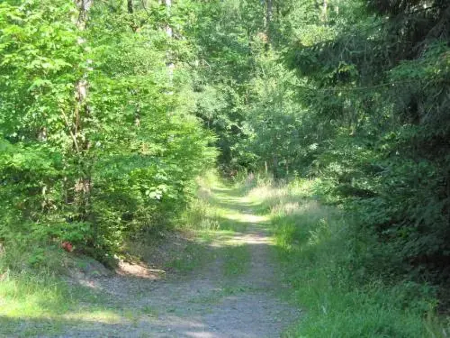 Ferienwohnung Römerstein