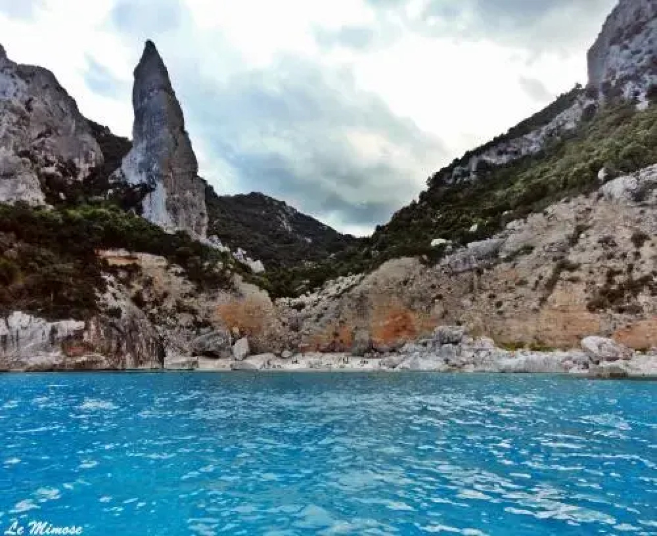 Appartamenti Le Mimose