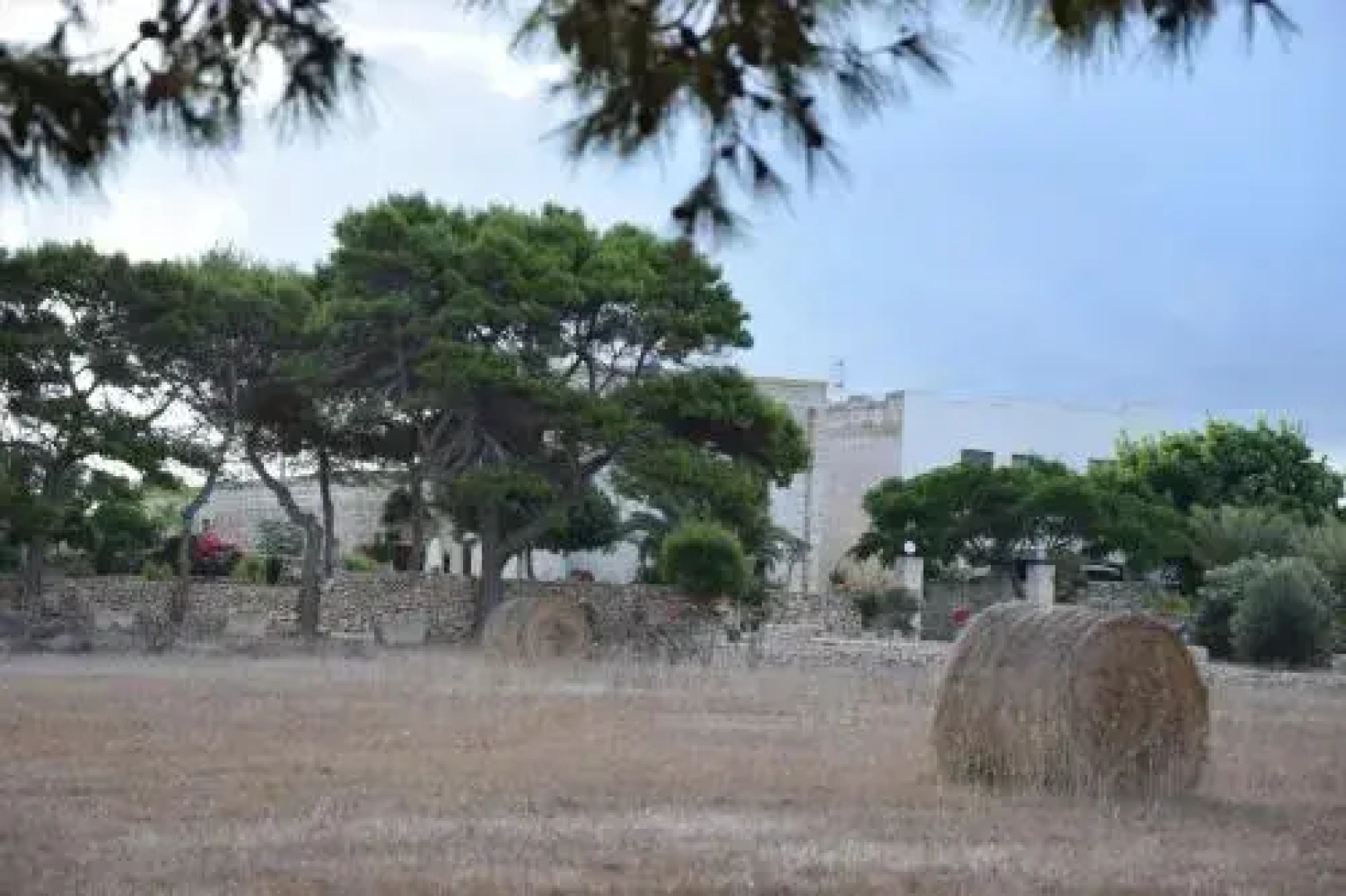 Appartamenti la Pinetina di Favignana