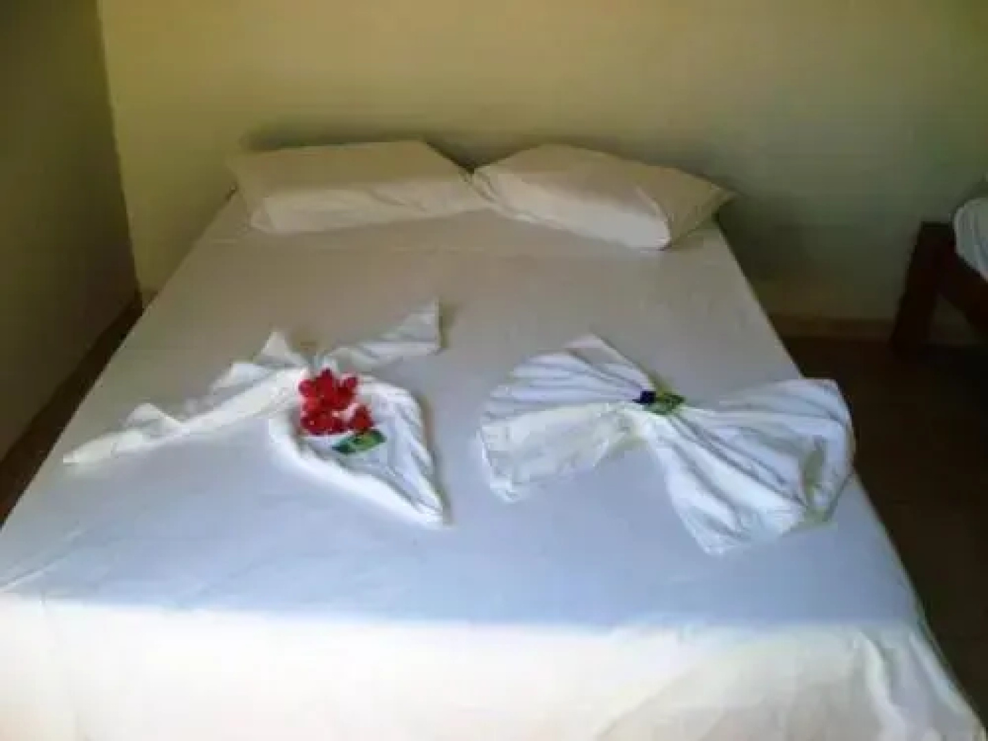 Hotel Pousada Beija Flor