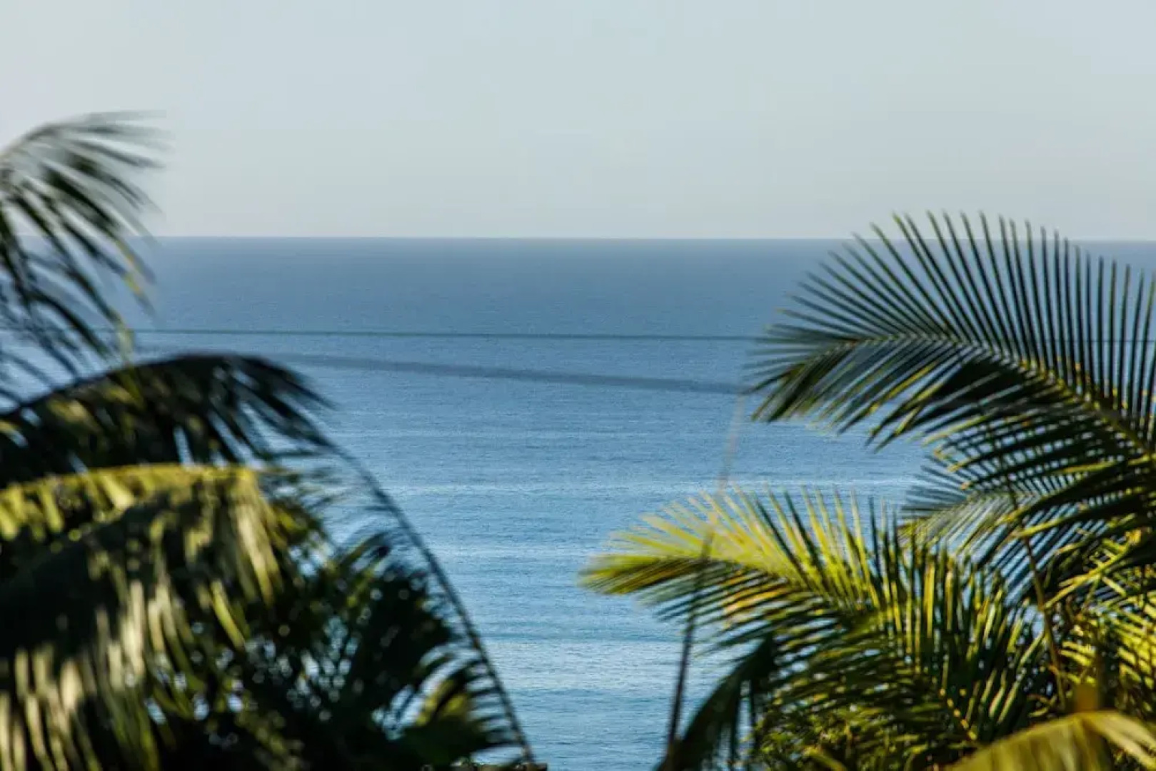 Cambridge House #142682