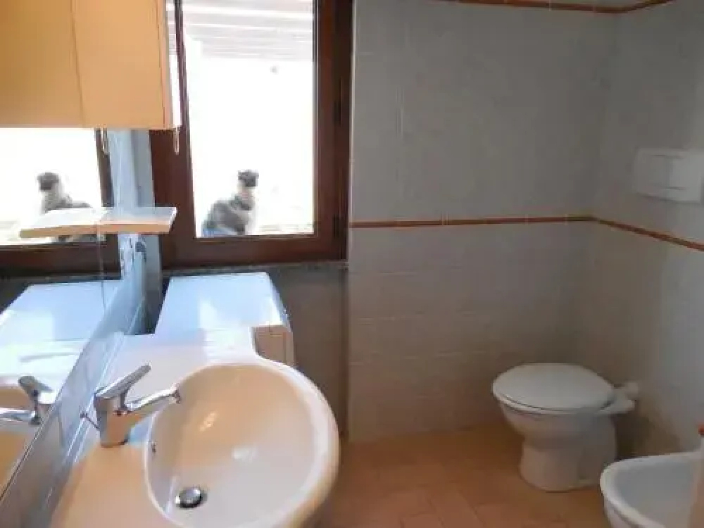 Azienda Il Tizzano