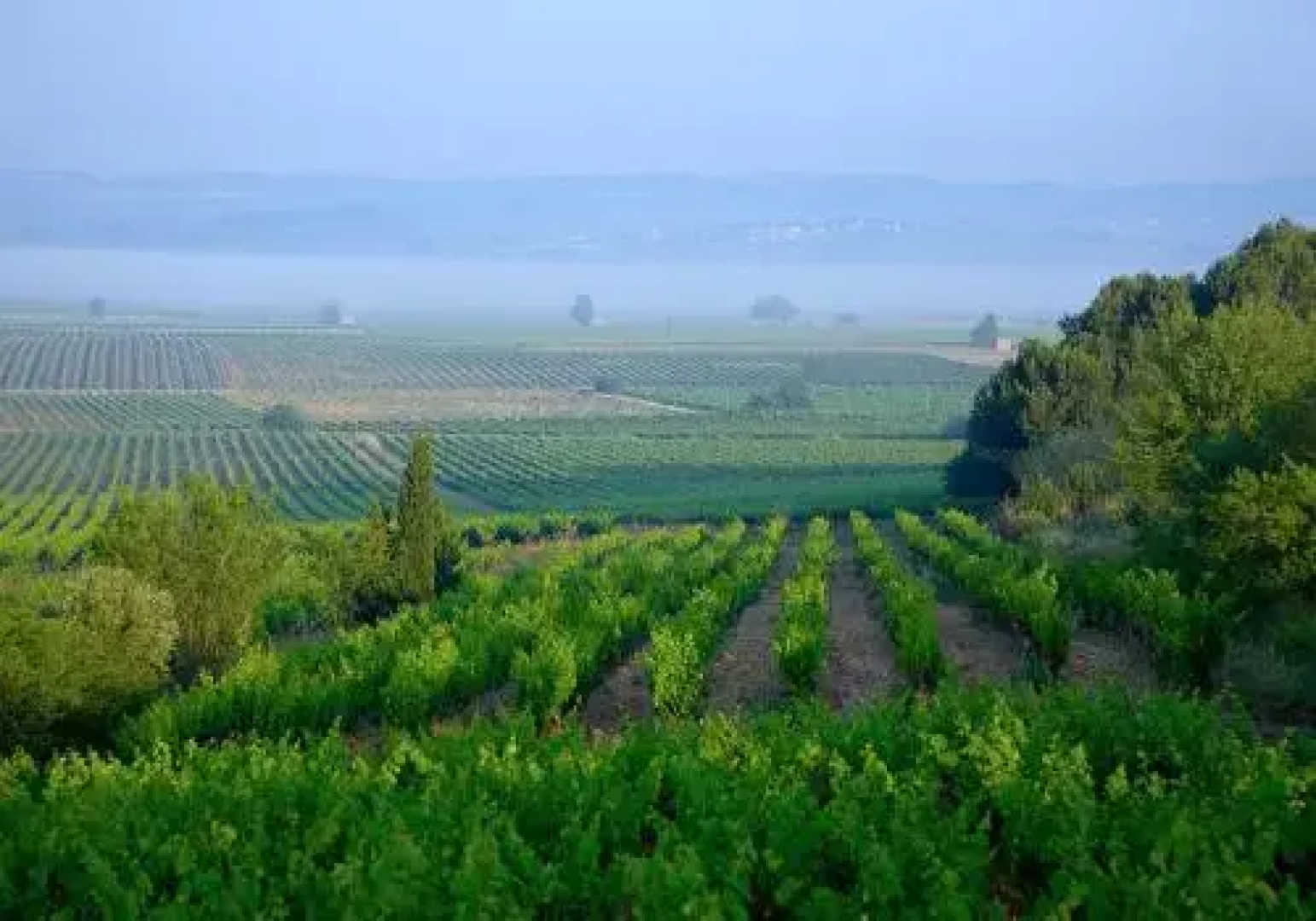 Maison Patio de Mignon
