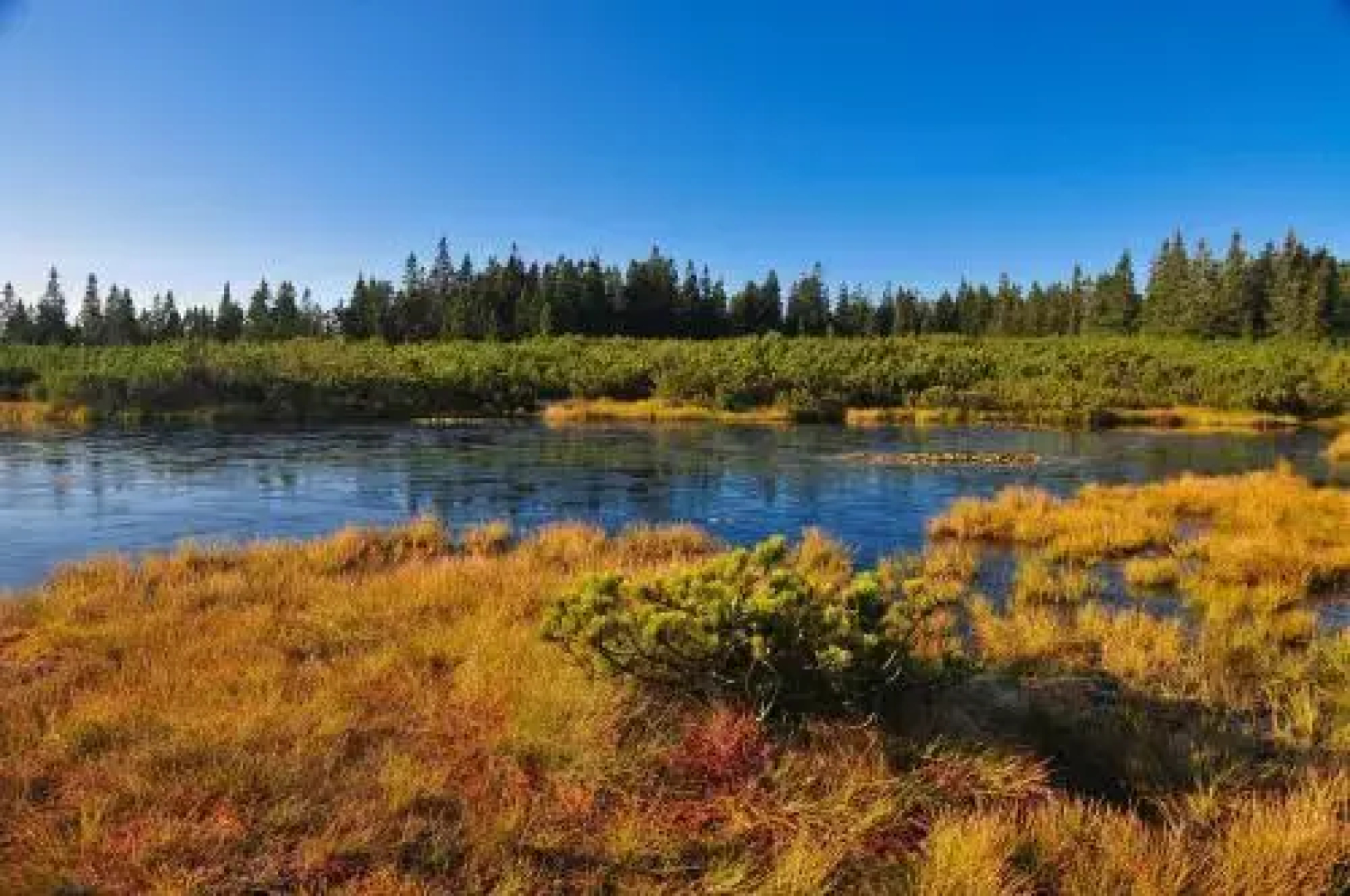 Apartmajsko naselje Ribniško Pohorje