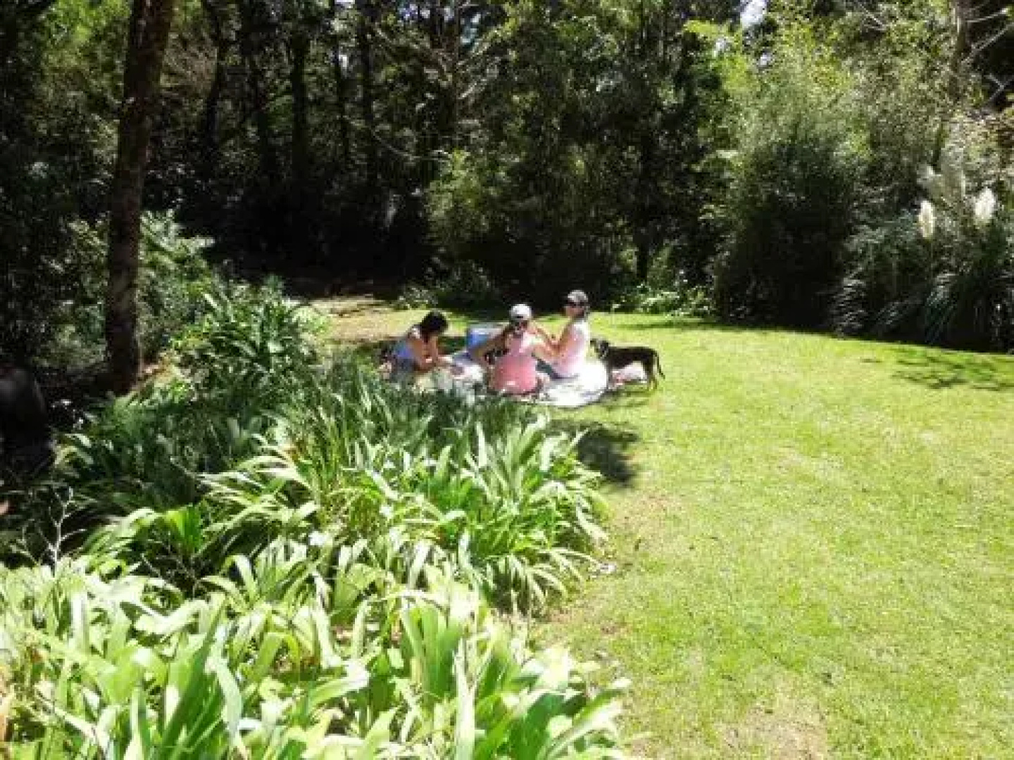 Mountain Retreat & Trout Fishing Adventure