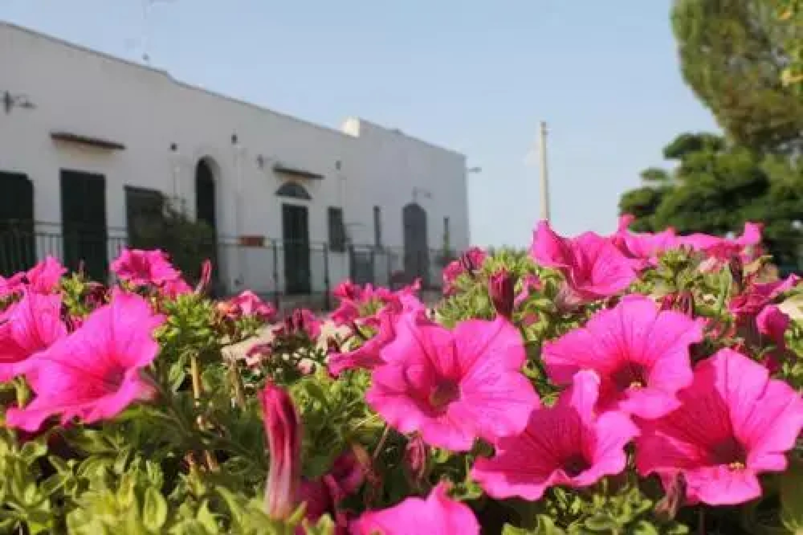 B&B Masseria Cappotto