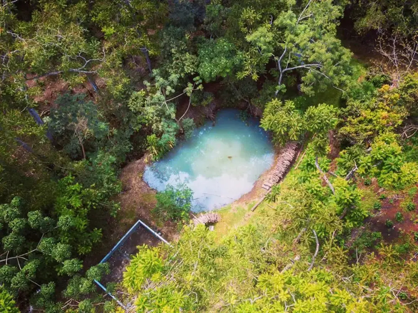 Los Cafetales Eco Lodge