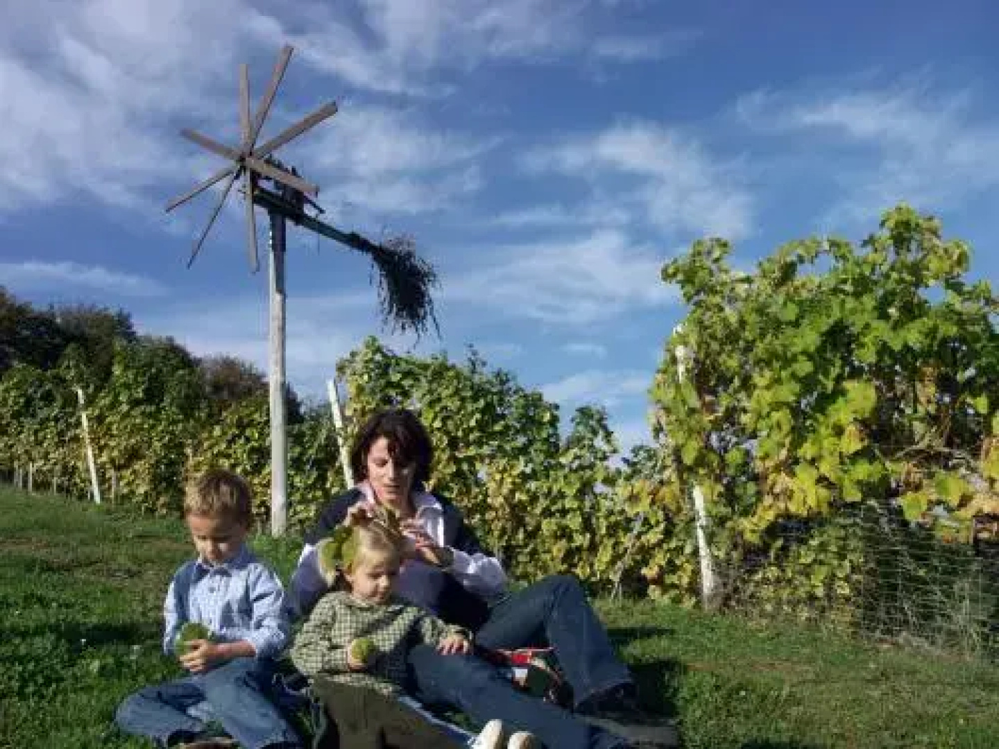 Weingut Gästehaus Otmar Birnstingl