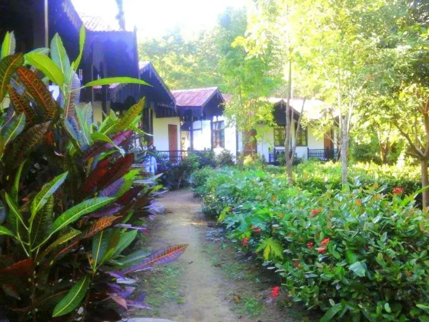 Vesali Resort