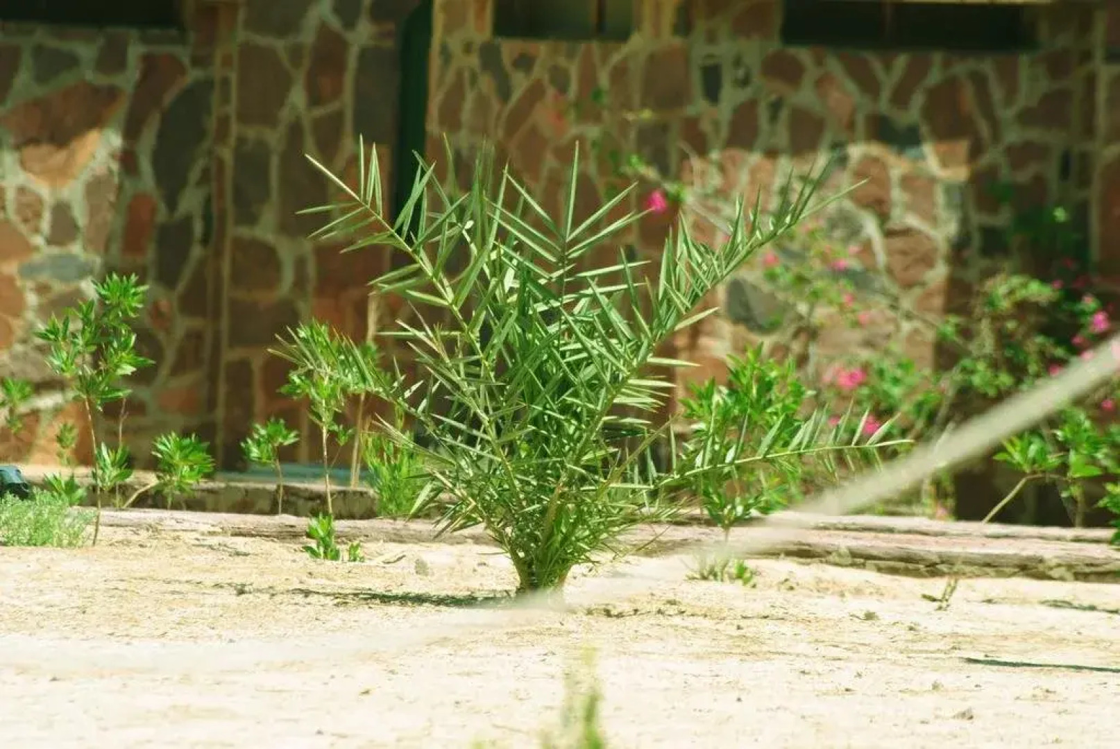 Safari Beach Nuweiba