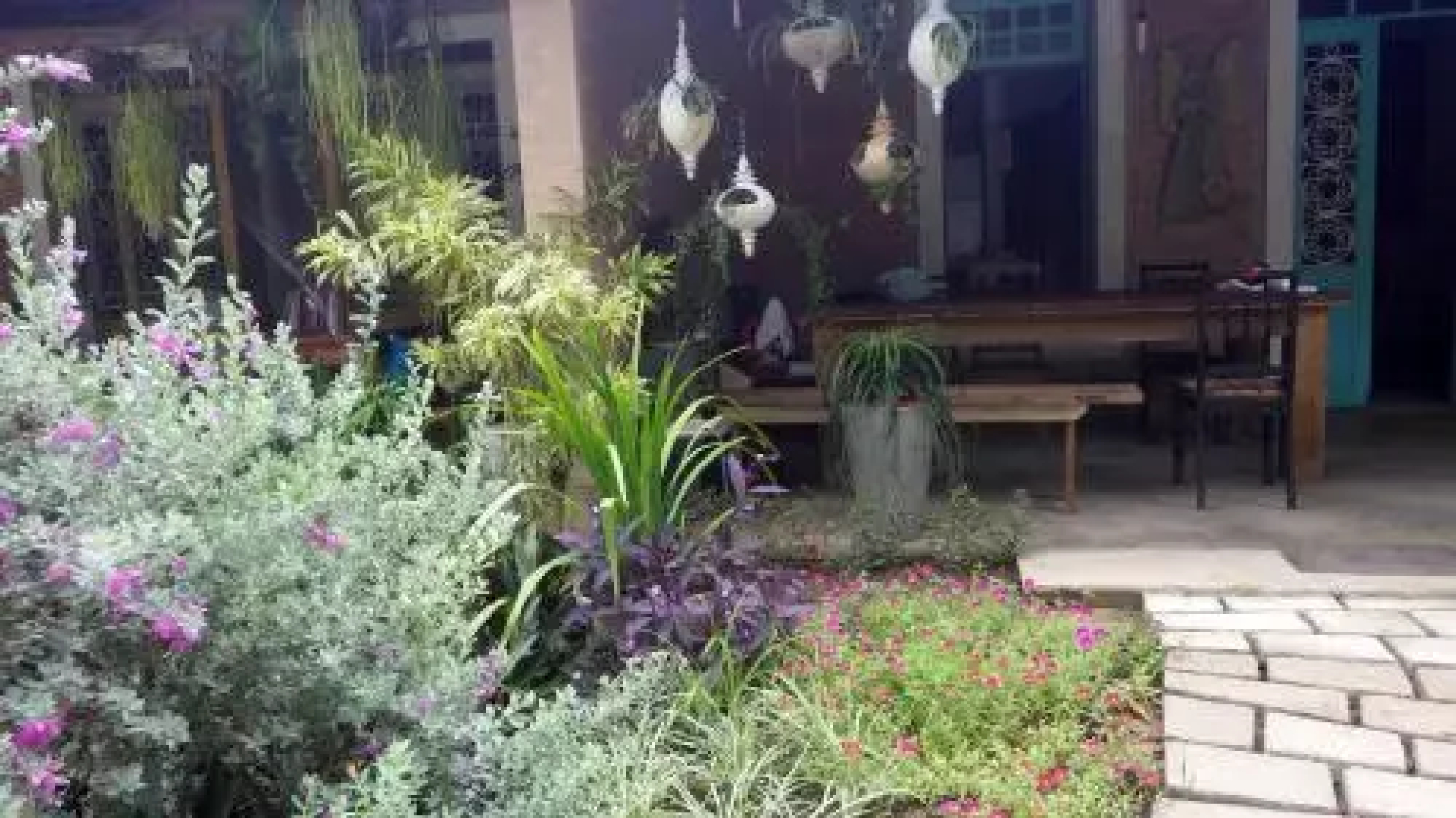 Eco Olinda B&B