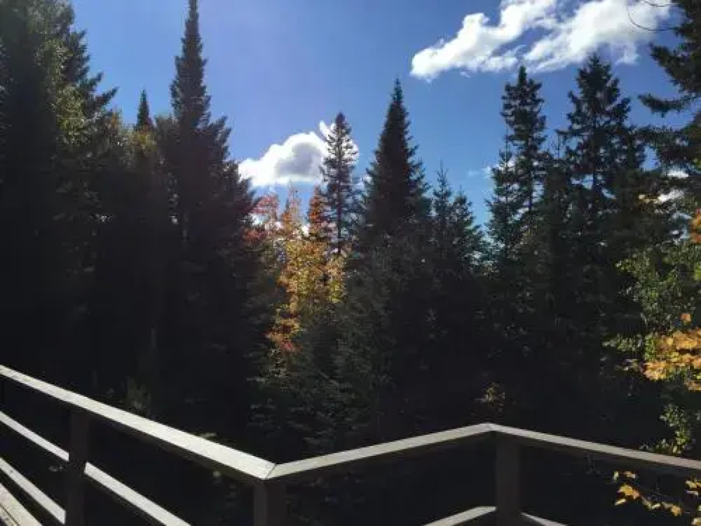 Lodge Nature Laurentides