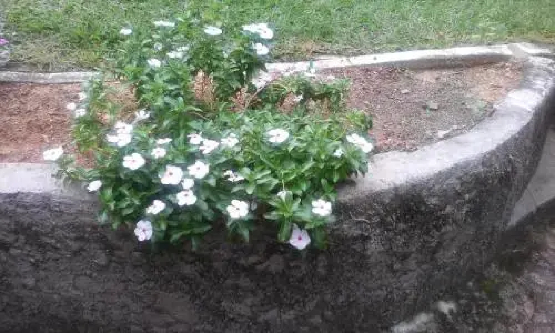 Recanto Lazer E Comer