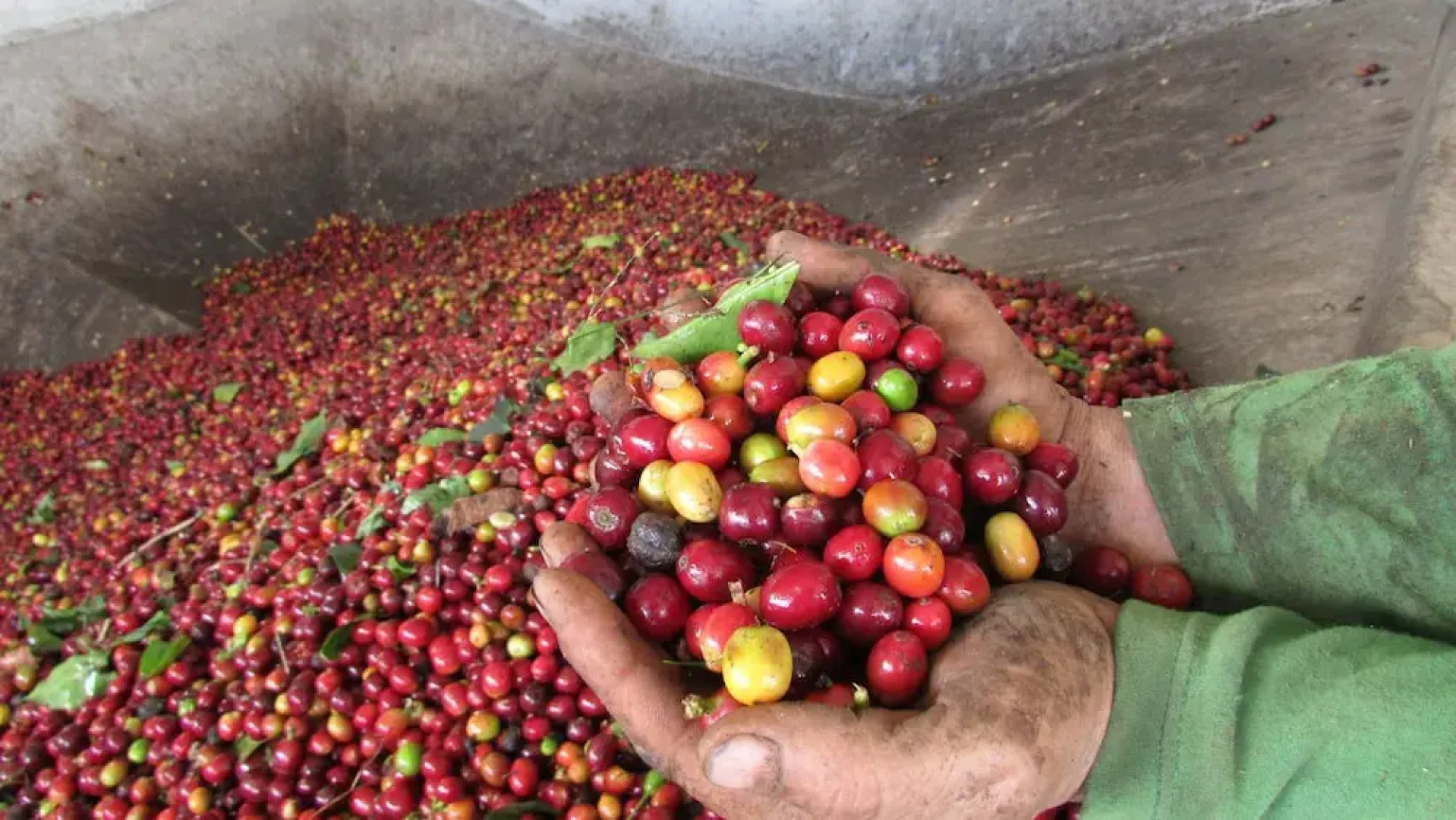 Finca Hotel Villa Clara