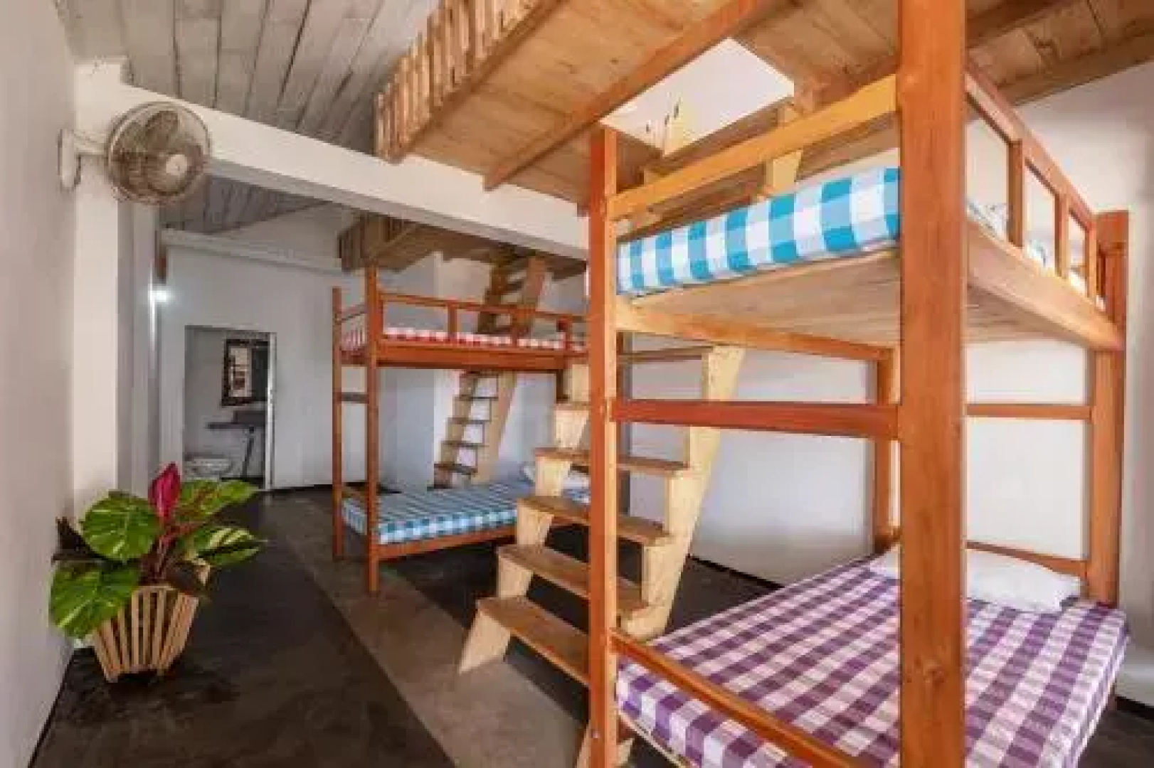 Coco Palm Beach Hostel