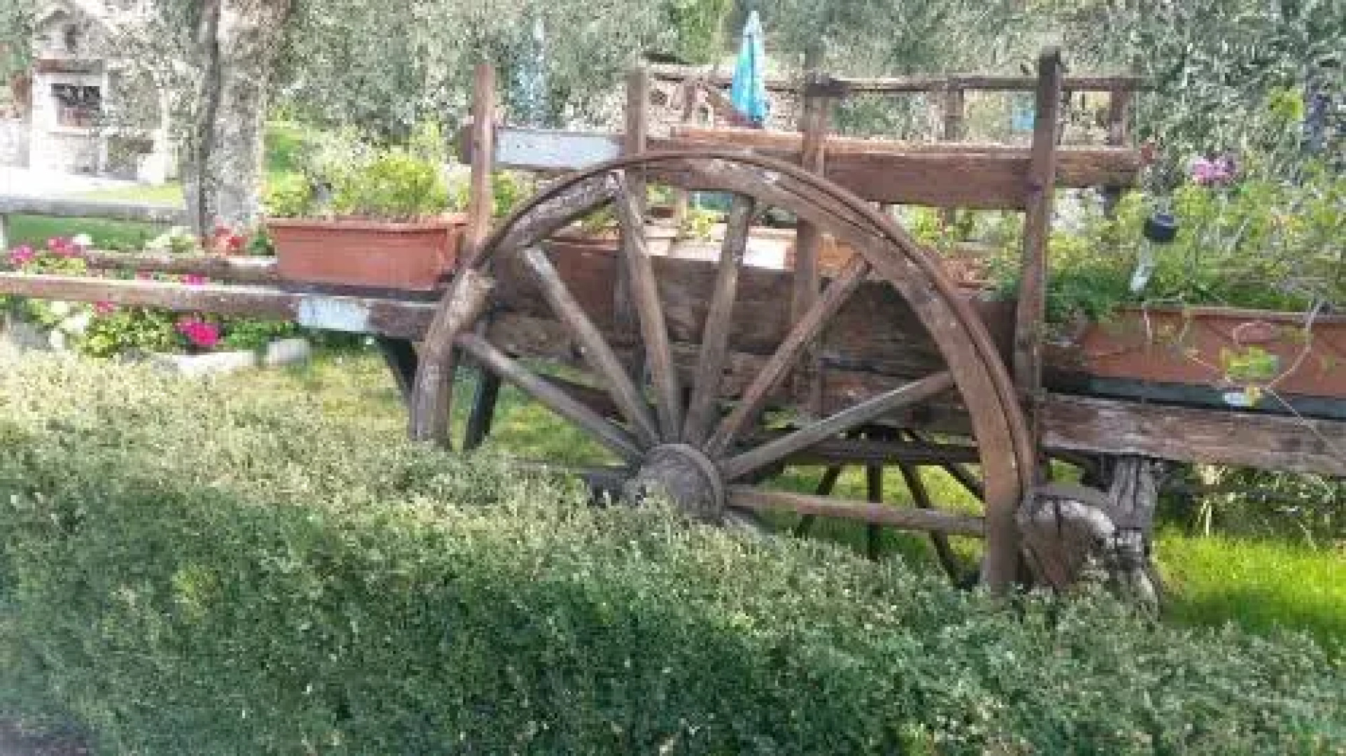 Appartamenti Ceccherini