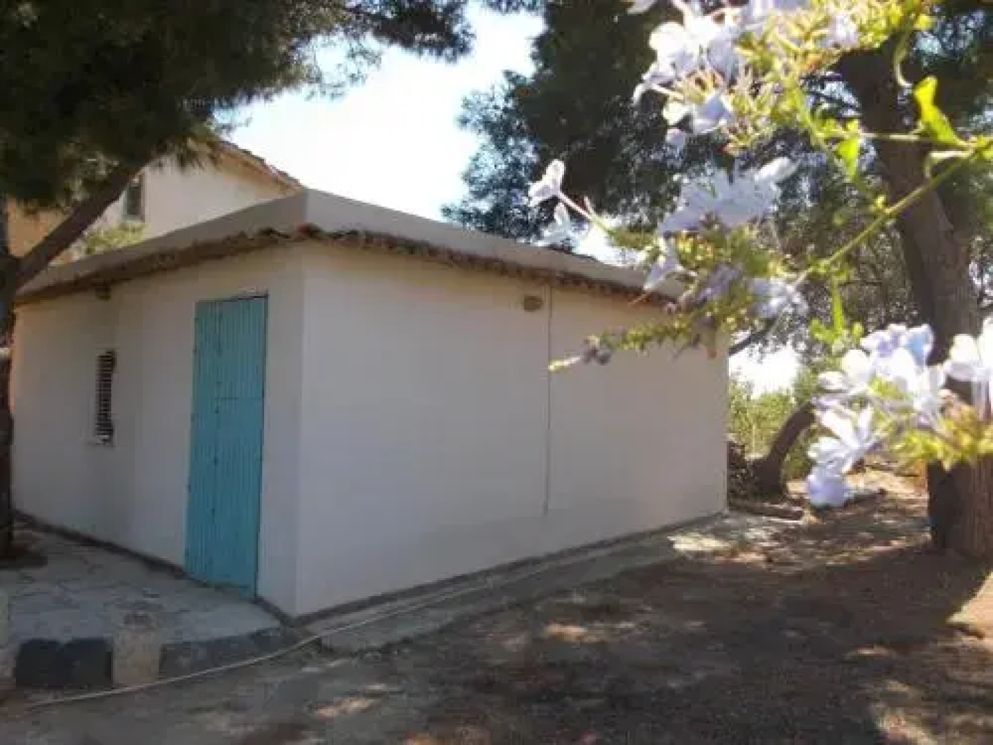 Casa Dell'Artista