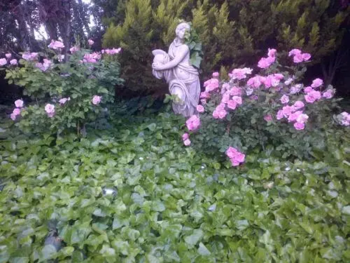 Giardino a 194