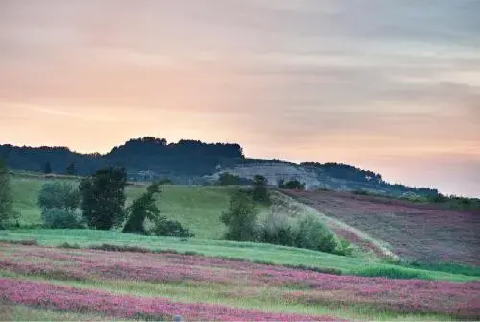 Casale La Collina