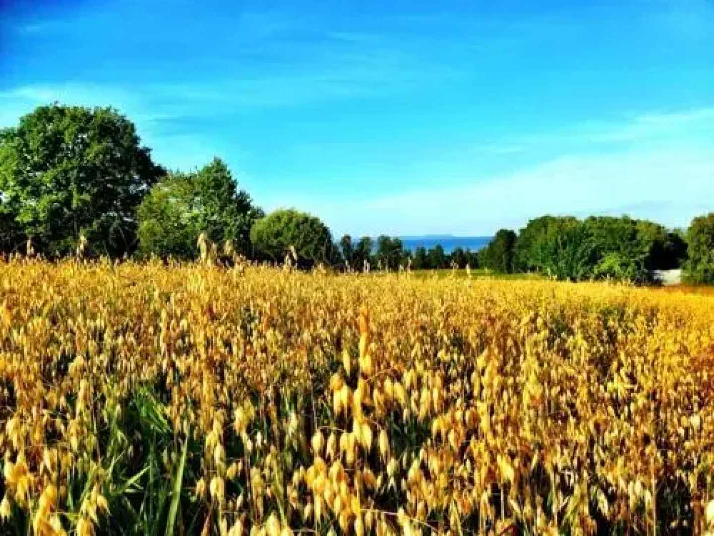 Holiday Home Skalleberg