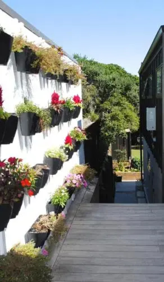 Oceanview Studio