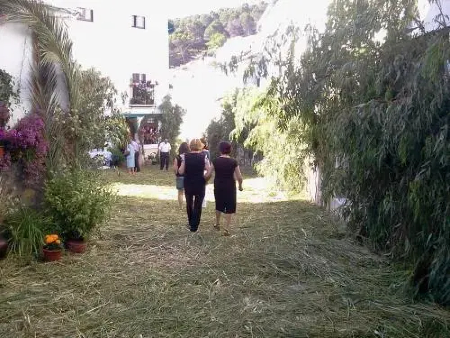 Alojamiento El Molino