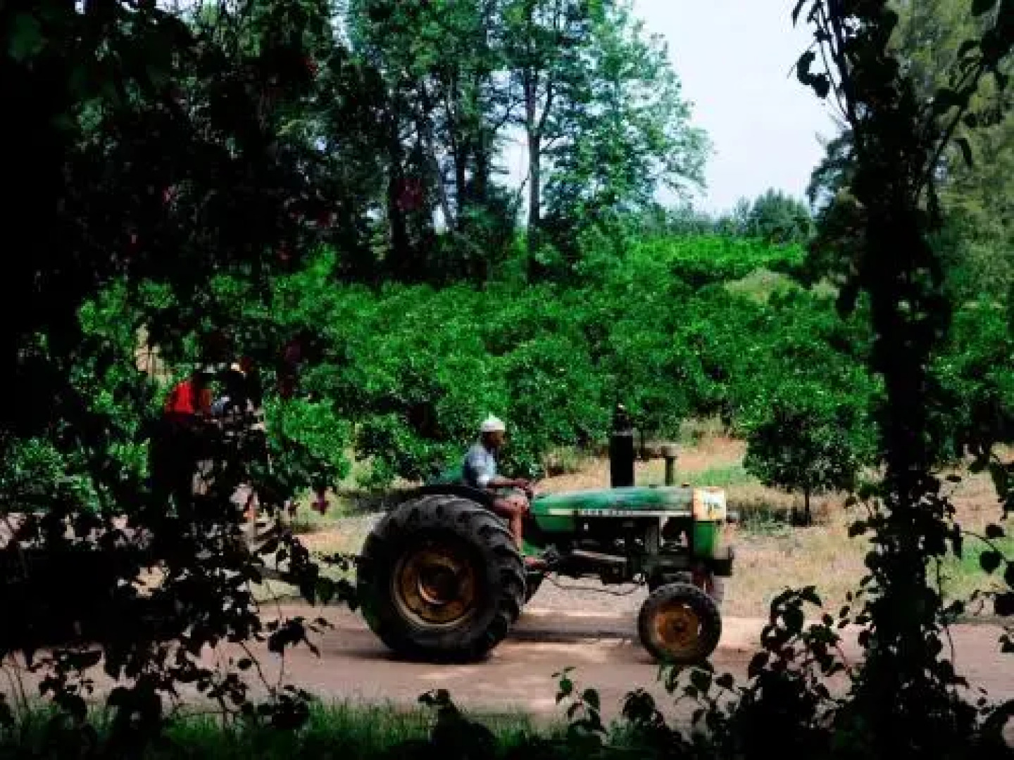 Umlambo Bed & Breakfast