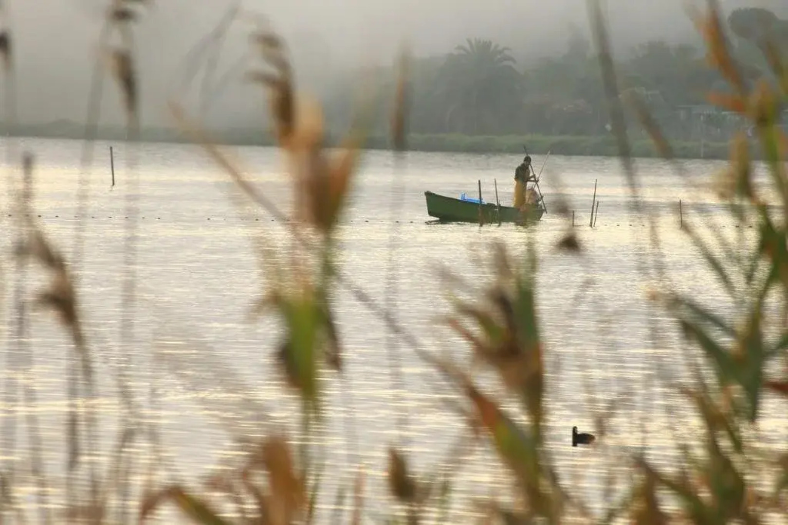 Agriturismo La Facenda