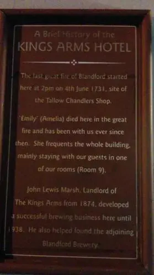 The Kings Arms Hotel