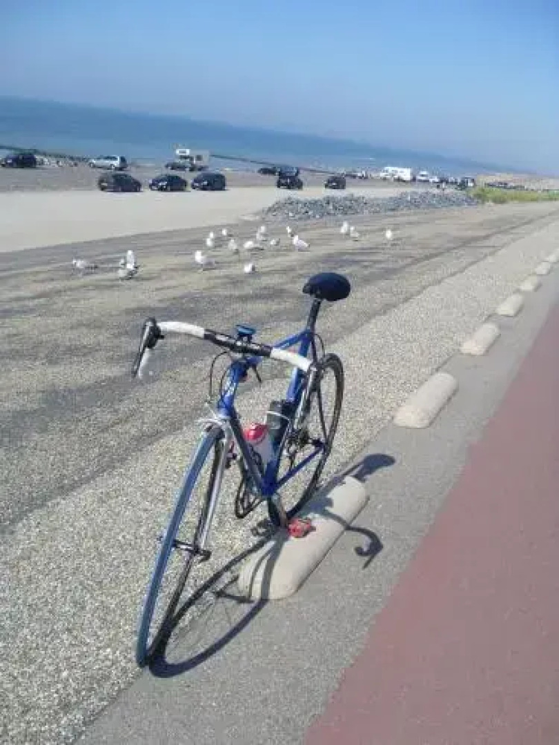 Grasduinen op Walcheren