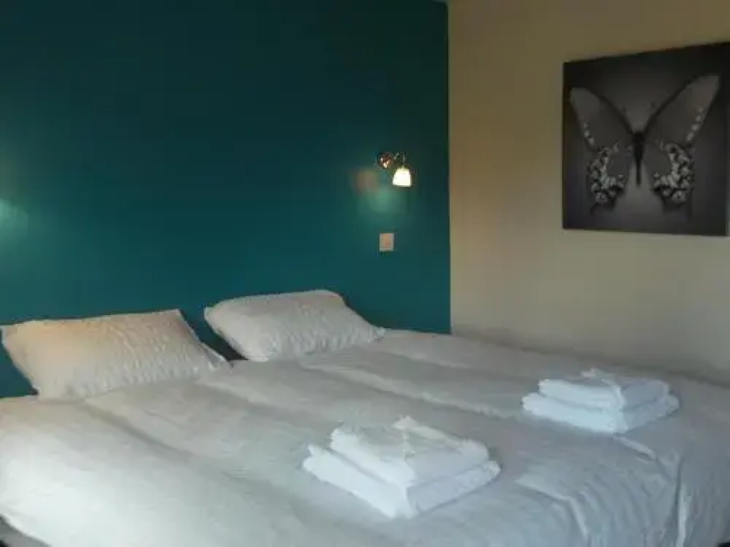 Butterfly Rooms - Aber Falls Cafe