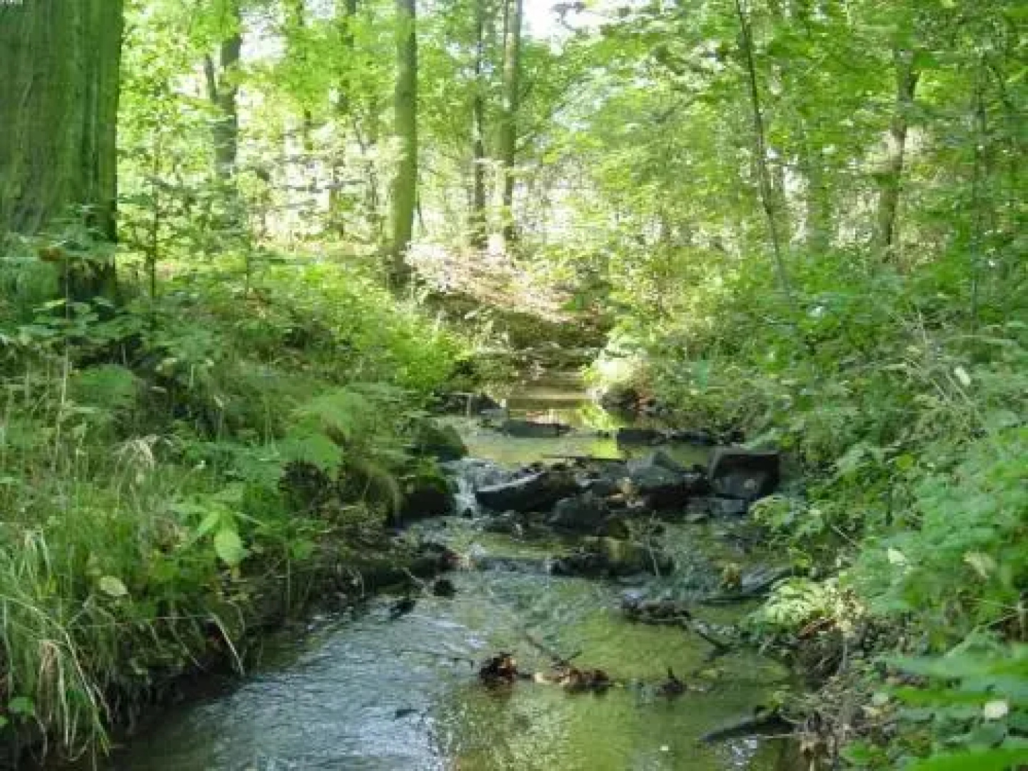 Pałac Frączków
